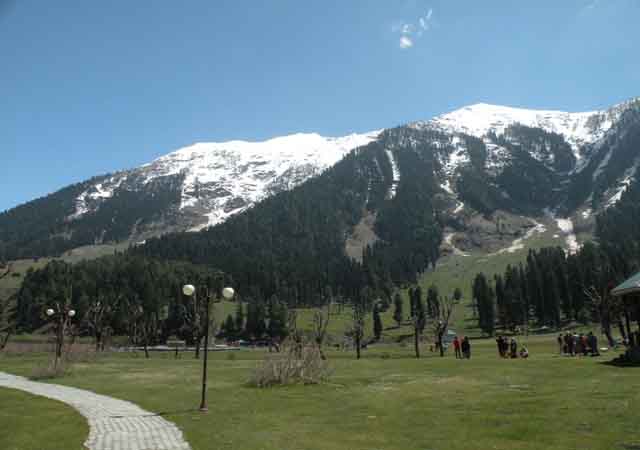 Best Travel Agents in Himachal